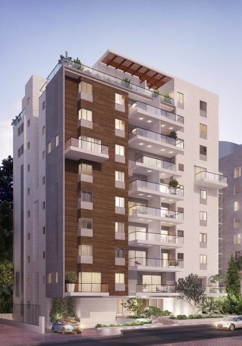 הדמיה חזית התחייה